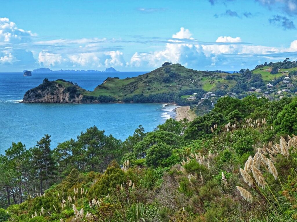 neuseeland-coromandel-ausblick-nordinsel