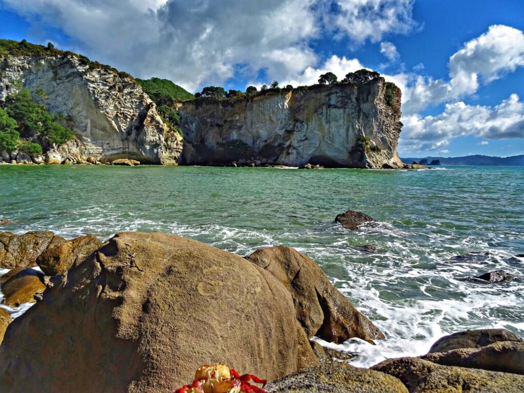 neuseeland-coromandel-felsen-nordinsel