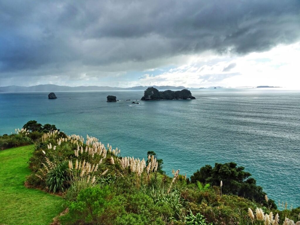 neuseeland-coromandel-meer-nordinsel