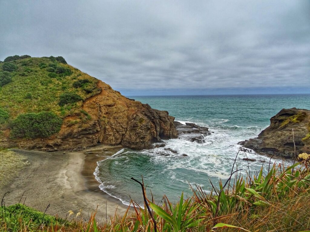 neuseeland-piha-nordinsel