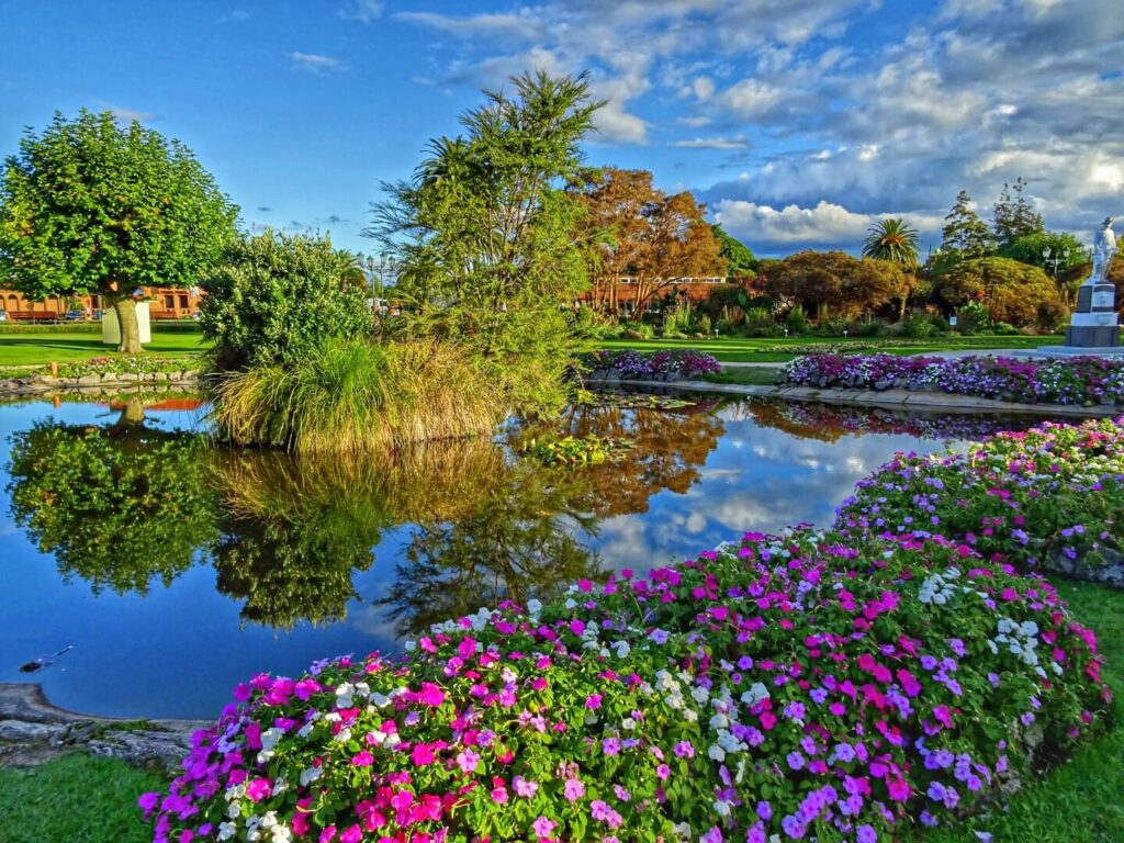 neuseeland-rotorua-blumen-nordinsel