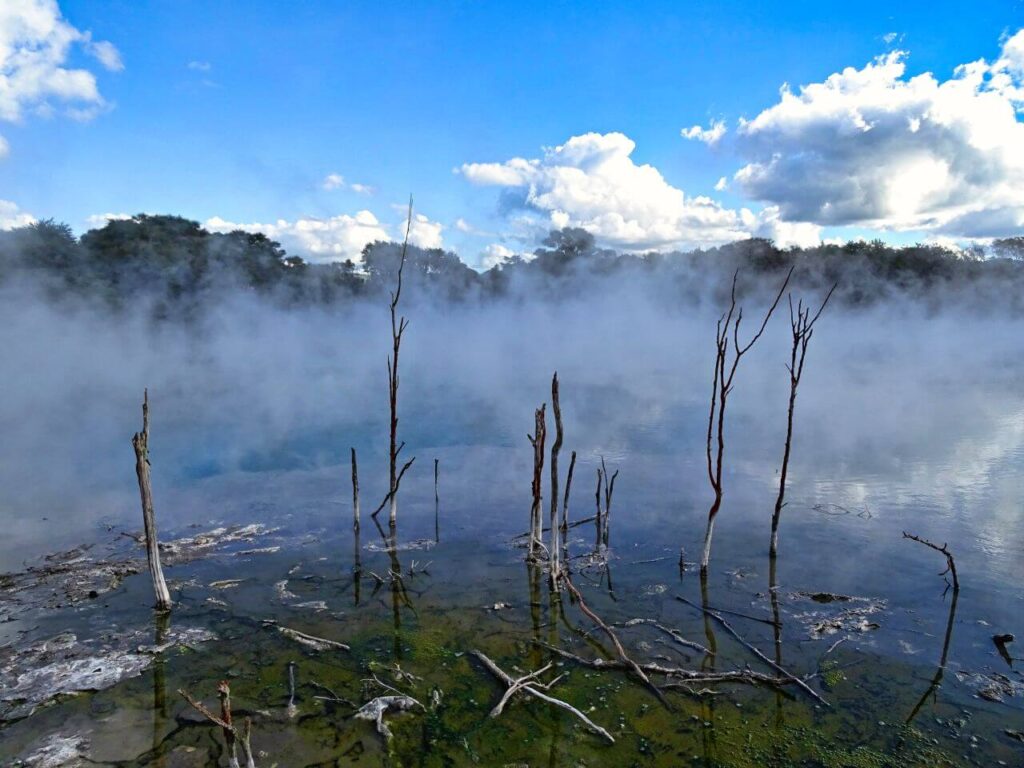 neuseeland-rotorua-nordinsel