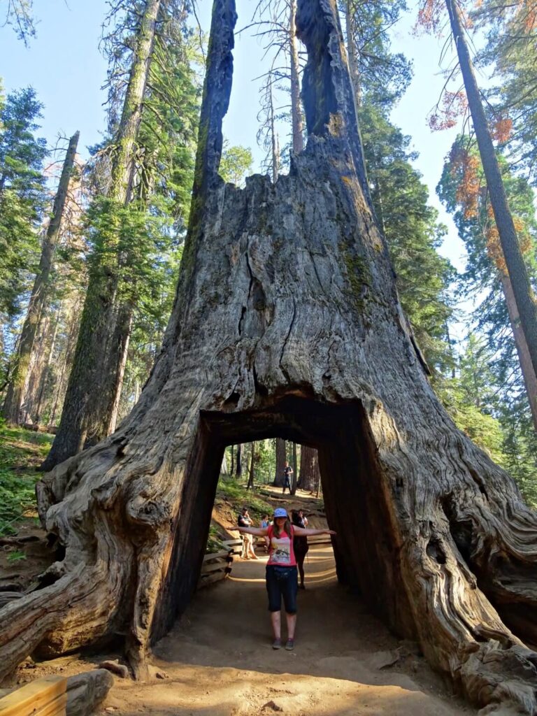 usa-sequoia-nationalpark